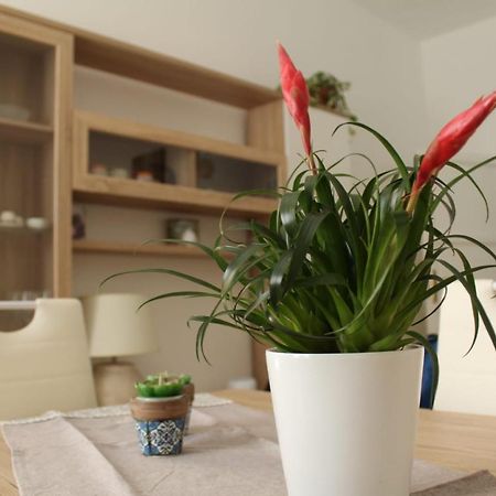 Ohana: Casa Nel Centro Di レッチェ エクステリア 写真