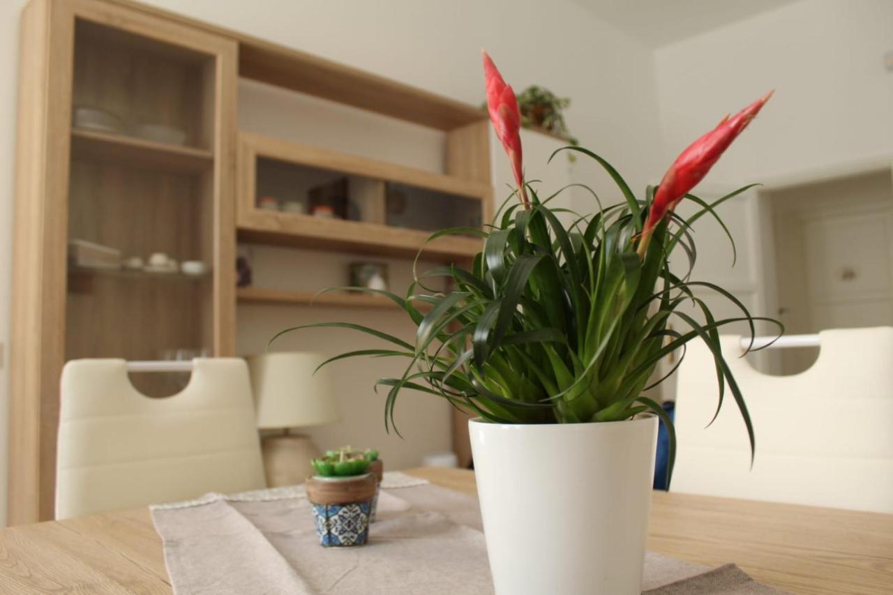 Ohana: Casa Nel Centro Di レッチェ エクステリア 写真